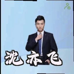 沈亦飞